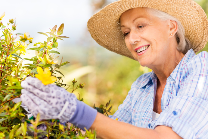 starting gardening as a new hobby  can refresh and relax senses like nothing else.

